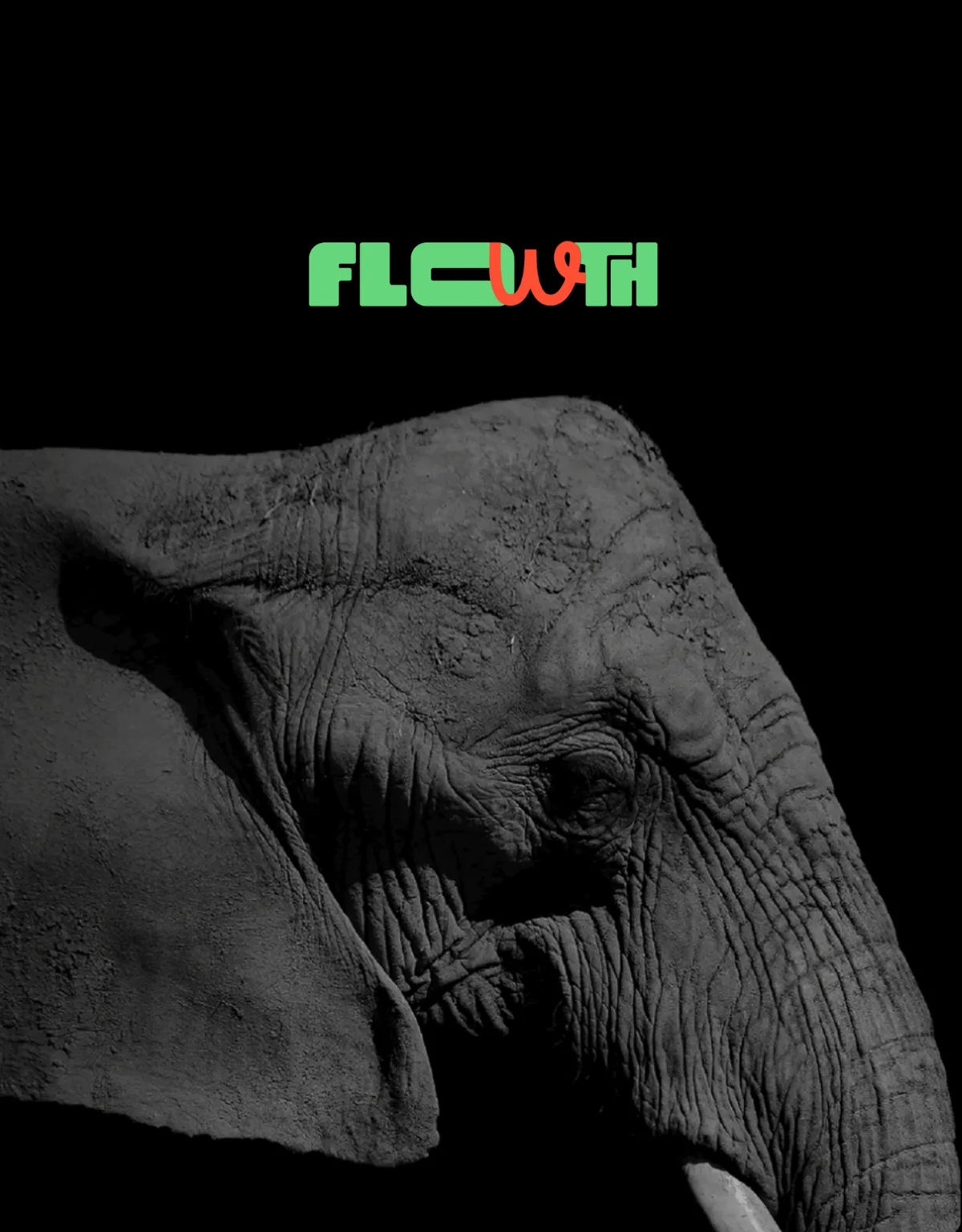 Projeto Flowth — website criado pela bennds